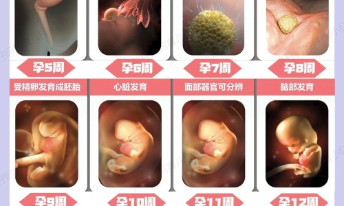 云南白药气雾剂功能主治网 - 云南白药气雾剂功能主治用法用量,云南白药气雾剂的作用与用法